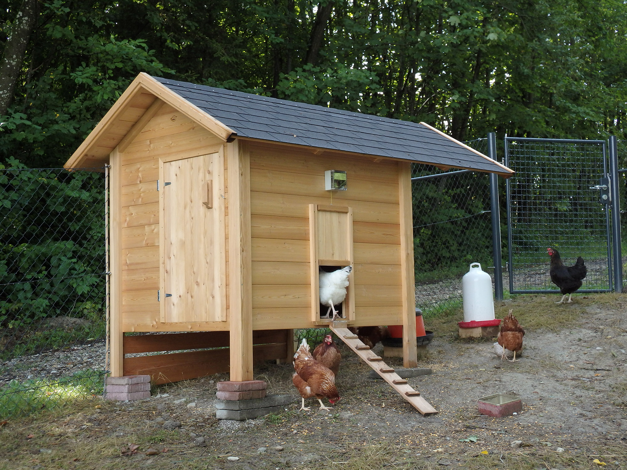 Imagefoto "Hühnerstall Classic" braun mit Hühnern
